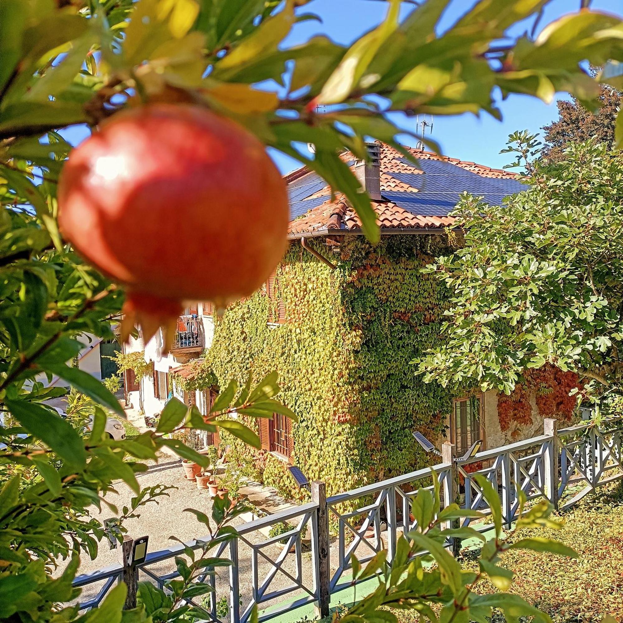 Casa Del Canta Borgomale Exterior photo